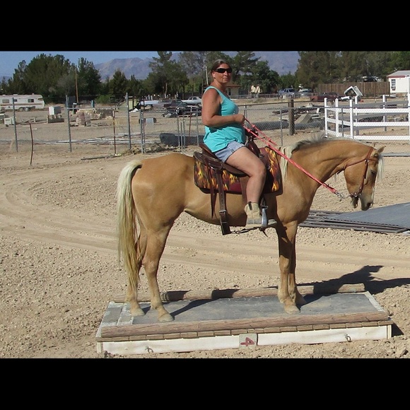 Meet your Posher, Patsy - Picture 5 of 6